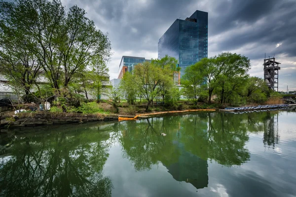 Byggnader och träd vid vattnet i hamnen öster, Baltimore, — Stockfoto