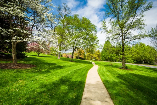 Chodnik i wiosna kolor w Johns Hopkins w Mount Washington, ja — Zdjęcie stockowe