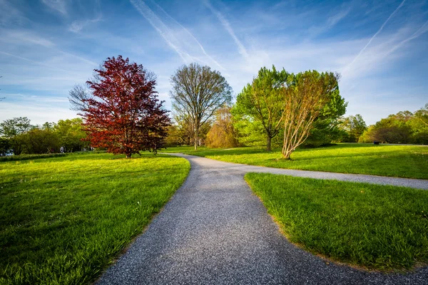 Passerelle et arbres à Cylburn Arboretum, à Baltimore, Maryland . — Photo