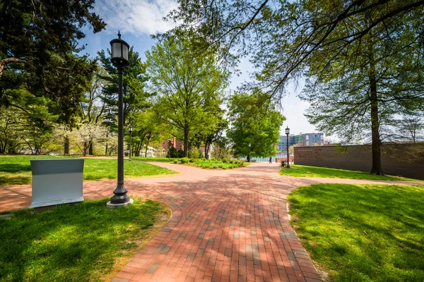 John Hopkins Üniversitesi, Baltimore, Maryland, yürüyüş yolları. — Stok fotoğraf