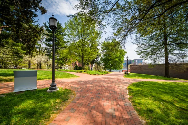 Gehwege an der john hopkins universität, in baltimore, maryland. — Stockfoto