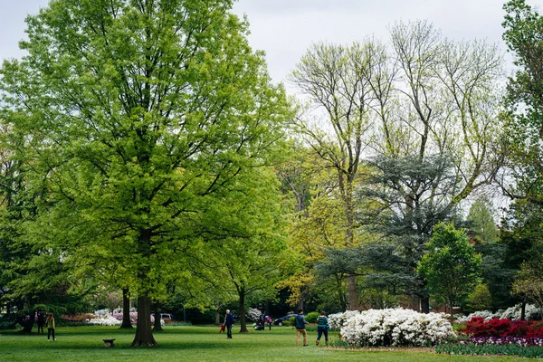 Jardines y árboles en Sherwood Gardens Park, en Guilford, Baltimo — Foto de Stock