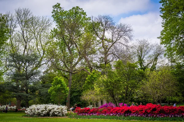 Jardines y árboles en Sherwood Gardens Park, en Guilford, Baltimo —  Fotos de Stock