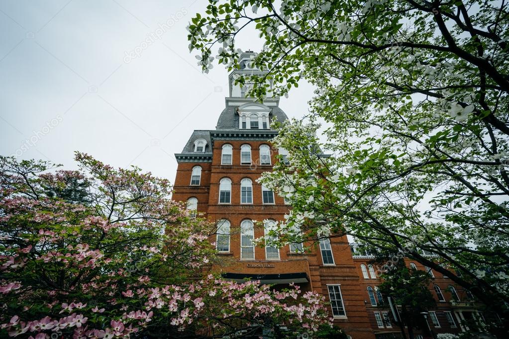 appalachianview