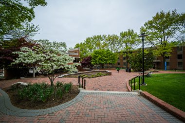 Ağaçlar ve yürüyüş Towson, Maryland Towson Üniversitesi'nde.