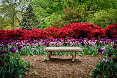 Bench and gardens at Sherwood Gardens Park, in Guilford, Baltimo clipart