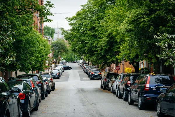 Stromy lemované ulici v federální Hill, Baltimore, Maryland. — Stock fotografie