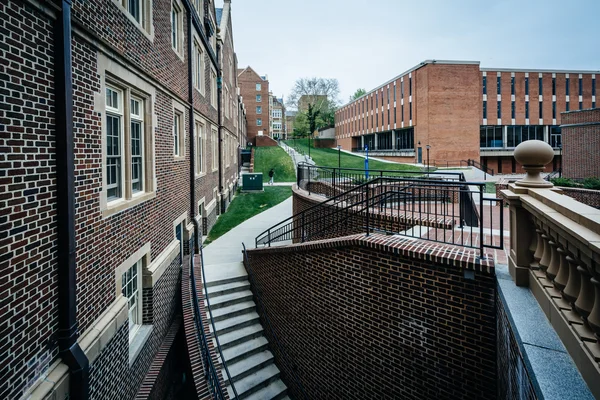 Bâtiments à l'Université Towson, à Towson, Maryland . — Photo