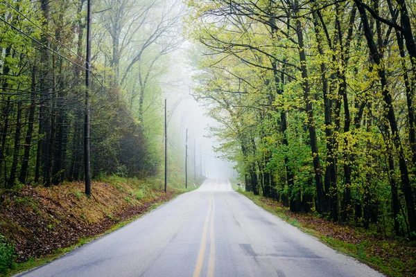 Shaffers Church Road en la niebla, cerca de Glen Rock, Pennsylvania . — Foto de Stock