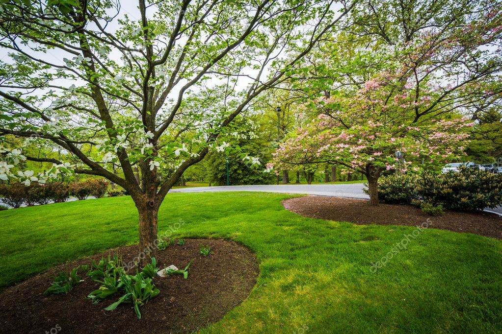 appalachianview
