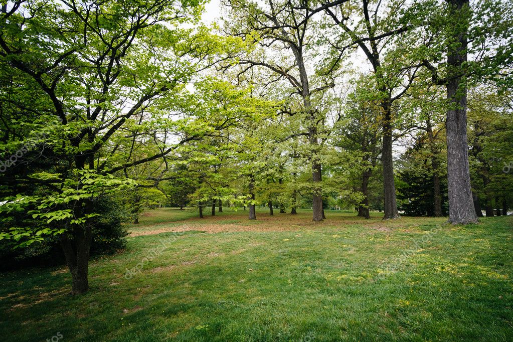 appalachianview
