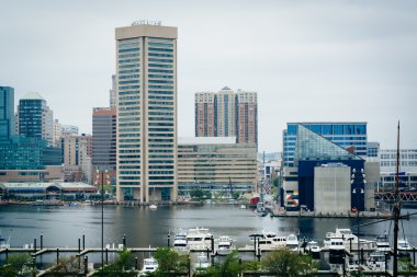 Inner Harbor Federal Hill Park, Baltimore, M görünümünü