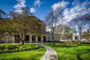 Bahçeleri ve Osgoode Hall şehir Toronto, Ontario.