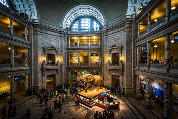 A belső tér a Rotunda a természetes Hi Nemzeti Múzeum — Stock Fotó