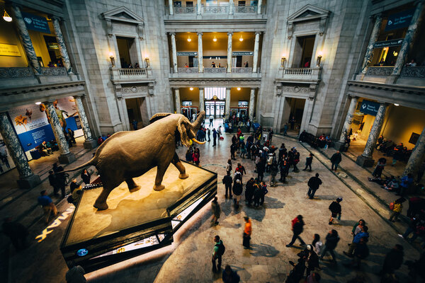 Интерьер Ротонды в Национальном музее естественного приветствия
