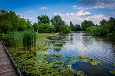 Baltimore, maryland patterson Park su birikintisi. 