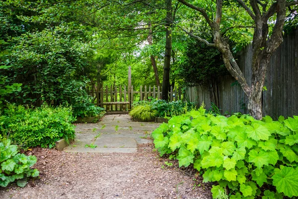 Woodland garden på Cylburn Arboretum, Baltimore, Maryland. — Stockfoto