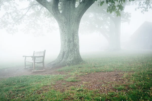 Banco y árbol en la niebla, detrás del Centro de Visitantes Dickey Ridge en Sh —  Fotos de Stock