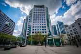 Moderní budovy na Davida Pecaut náměstí, v centru Toronta, na