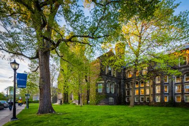Toront Üniversitesi Sigmund Samuel Kütüphane binasında