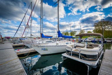 Bir marina adlı Harbourfront, Toronto, Ontario.