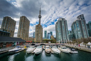 Marina ve binalarda Harbourfront, Toronto, Ontario.