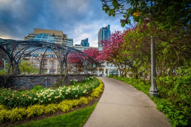 Ağaçlar ve bahçeleri Toronto müzik bahçesinde bir geçit boyunca bir
