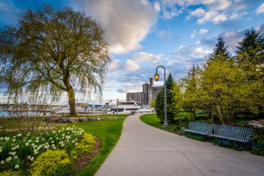 Ağaçlar. Bahçeleri ve Toronto müzik bir geçit boyunca banklar
