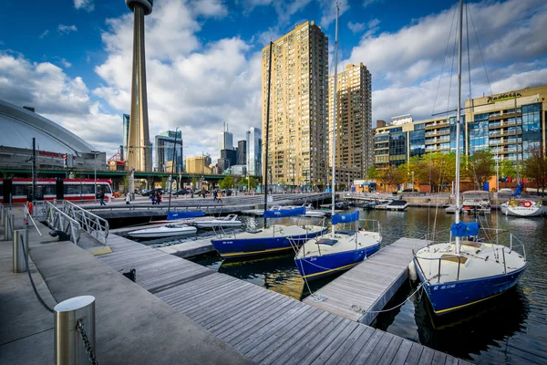 Marina and buildings at the Harbourfront, in Toronto, Ontario. — Stock Photo, Image