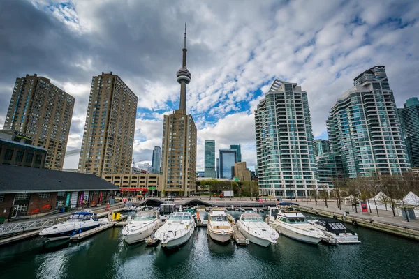 Marina ed edifici sul lungomare di Toronto, Ontario . — Foto Stock