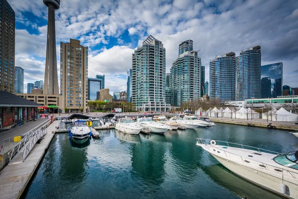 Marina y edificios modernos en el puerto, en Toronto, Ont — Foto de Stock