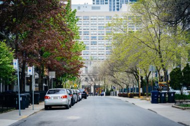 Evler ve Bahar renk Ryerson Üniversitesi yakınındaki Mcgill sokakta