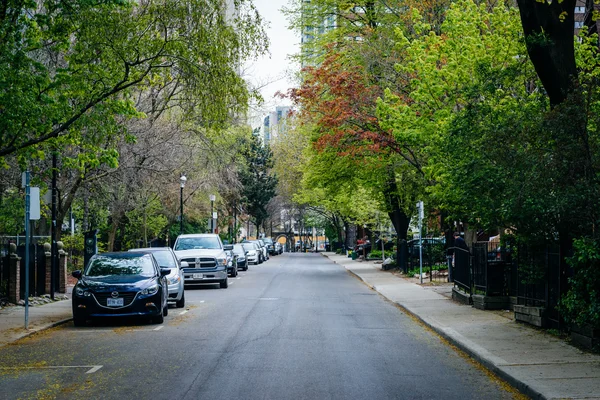 Hus och våren färg på Mcgill Street, nära Ryerson universitet — Stockfoto