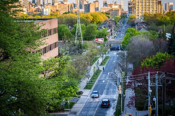 ボールドウィンからスパディナアヴェニューの表示手順 Spadina の公園で私 — ストック写真