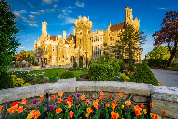 Tulipany i Casa Loma w Midtown Toronto, Ontario. — Zdjęcie stockowe