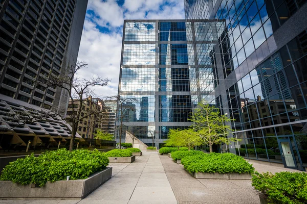 Innergård och moderna byggnader i centrala Toronto, Ontario. — Stockfoto