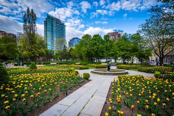 Gärten im Saint James Park, in Toronto, Ontario. — Stockfoto