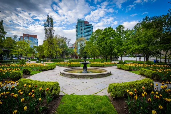 Gardens at Saint James Park, in Toronto, Ontario. — Stock Photo, Image
