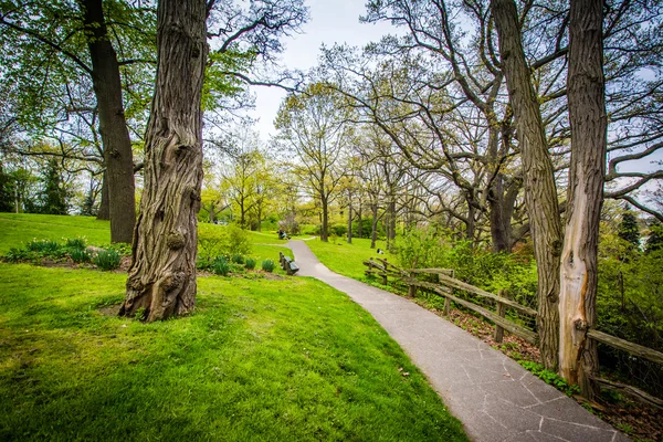 Cerca y árboles a lo largo de una pasarela en High Park, en Toronto, Ontari — Foto de Stock