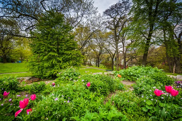 Jardines en High Park, en Toronto, Ontario . — Foto de Stock