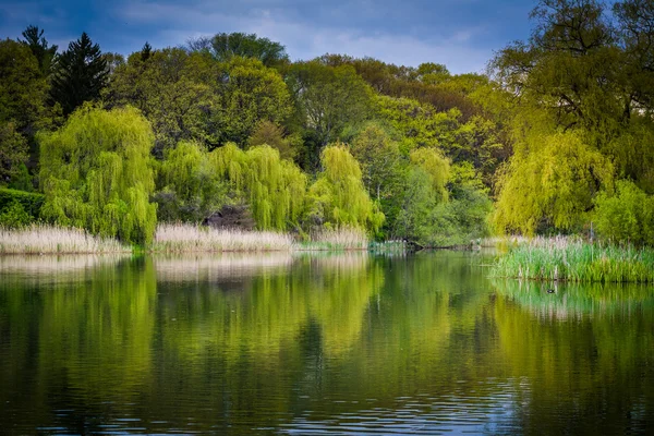 Grenadier dammen, på hög Park, i Toronto, Ontario. — Stockfoto