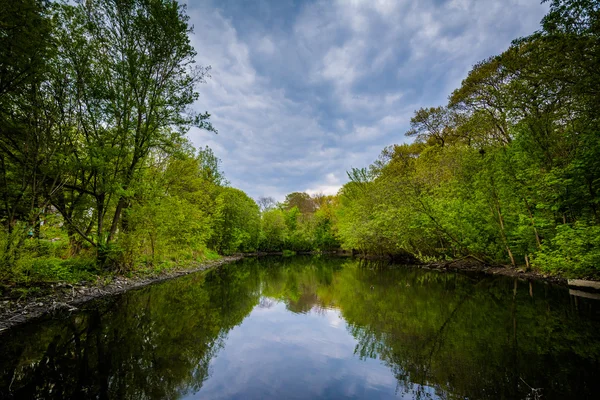 Wendigo stawu w High Park w Toronto, Ontario. — Zdjęcie stockowe