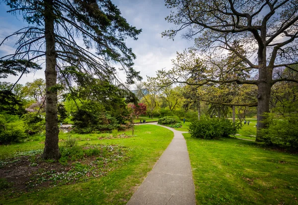 Trees along a walkway at High Park, in Toronto, Ontario. — Stock Photo, Image