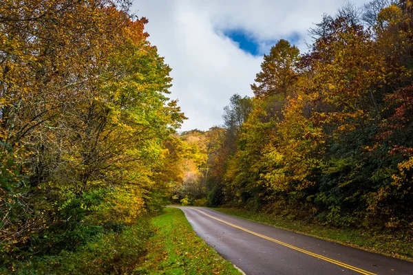 Podzimní barvy podél Blue Ridge Parkway, poblíž Blowing Rock, ne — Stock fotografie