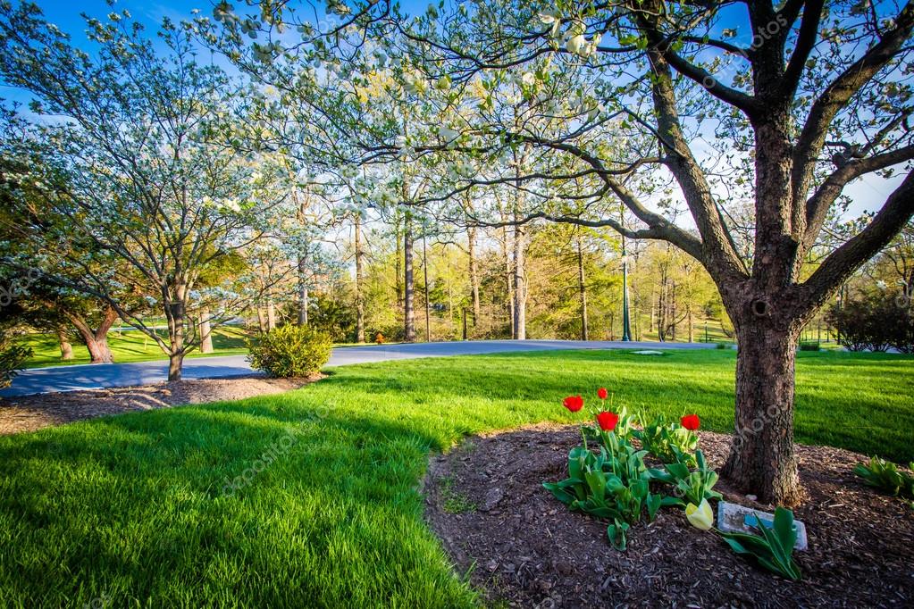 appalachianview