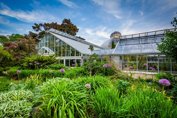 Trädgårdar och Palmhuset på Allan trädgårdar, i trädgården D — Stockfoto