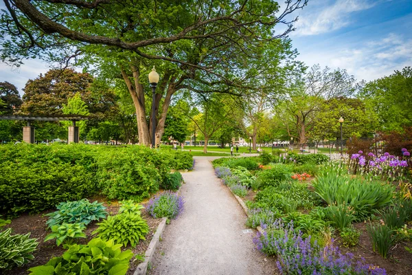 Walkway and gardens at the Allan Gardens, in the Garden District — Stock Photo, Image