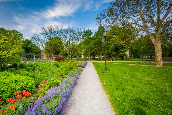 Walkway and gardens at the Allan Gardens, in the Garden District — Stock Photo, Image