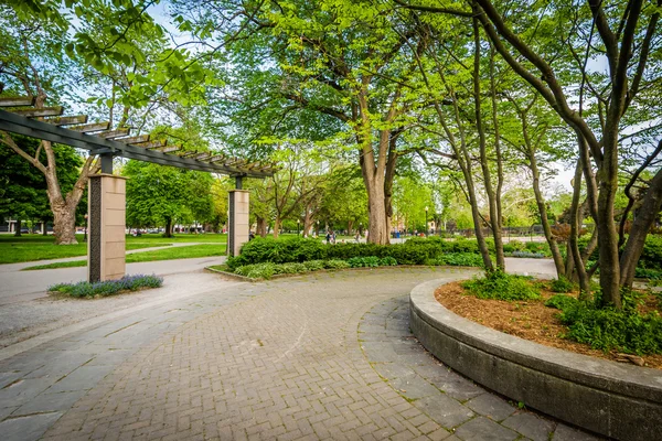 Walkway and trees, at the Allan Gardens, in the Garden District, — Stock Photo, Image