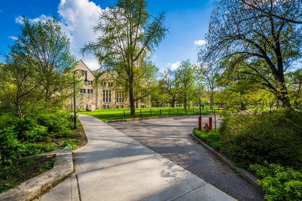 Gangveier og trær ved University of Toronto, i Toronto, Ont – stockfoto